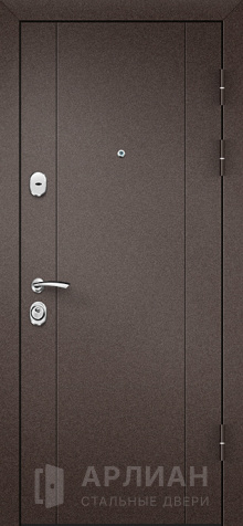 Фото «Металлическая дверь с порошковым напылением и зеркалом №68»